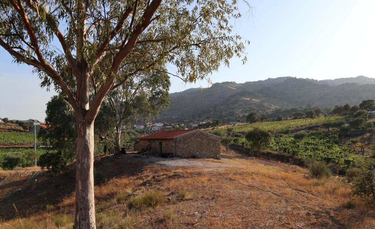 Вілла Quinta De Gandarem Торрі-ді-Монкорву Екстер'єр фото